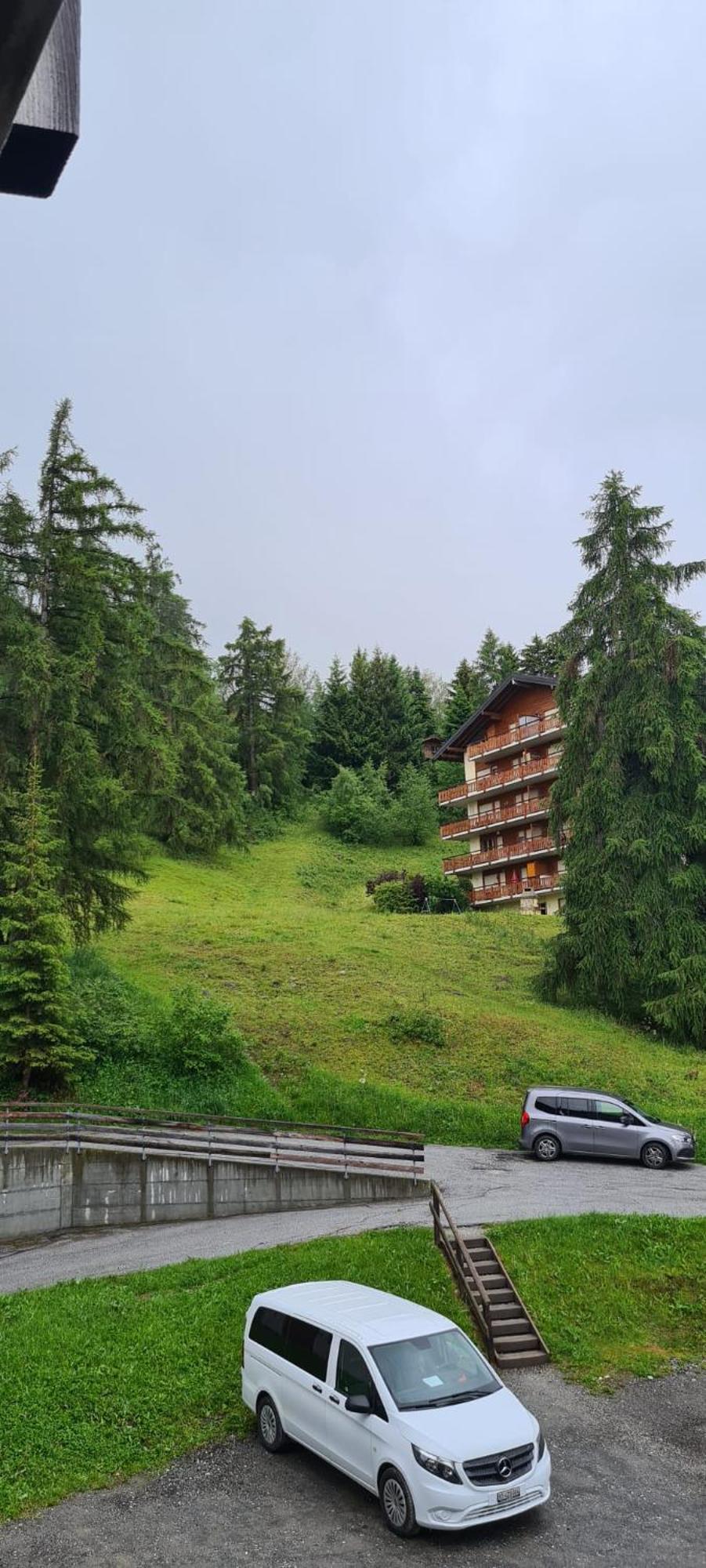 3.5 Apartment Nendaz